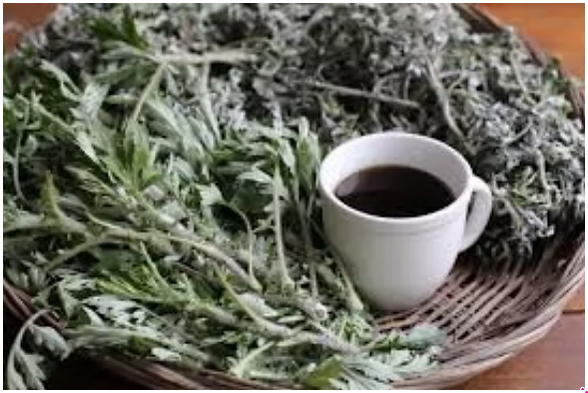 따뜻하게 바로 마시거나, 식혀서 냉장 보관 후 시원하게 즐겨도 좋습니다.